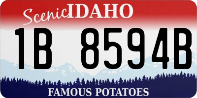 ID license plate 1B8594B