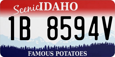 ID license plate 1B8594V