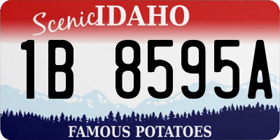 ID license plate 1B8595A
