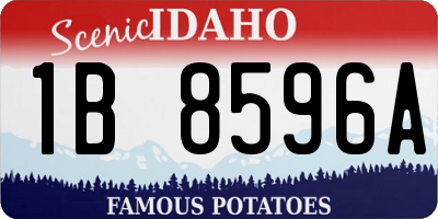 ID license plate 1B8596A