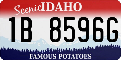 ID license plate 1B8596G