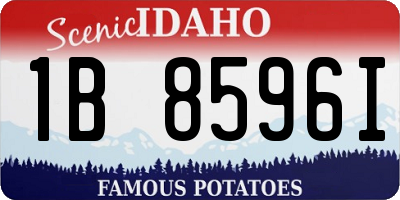 ID license plate 1B8596I
