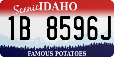 ID license plate 1B8596J