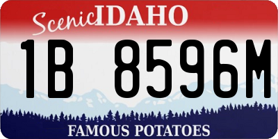 ID license plate 1B8596M