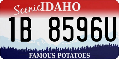 ID license plate 1B8596U