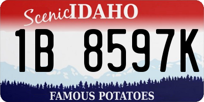ID license plate 1B8597K
