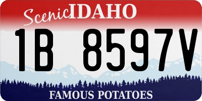 ID license plate 1B8597V