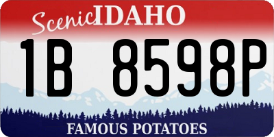 ID license plate 1B8598P
