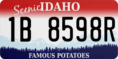 ID license plate 1B8598R
