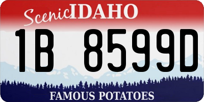 ID license plate 1B8599D