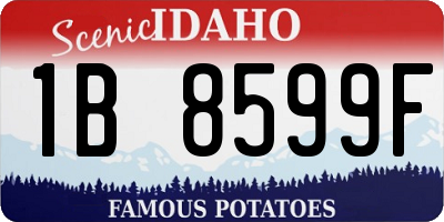 ID license plate 1B8599F