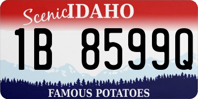 ID license plate 1B8599Q