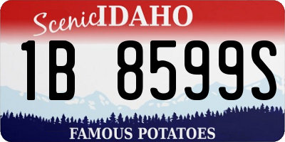 ID license plate 1B8599S