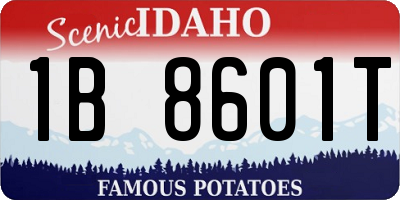 ID license plate 1B8601T