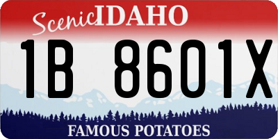 ID license plate 1B8601X