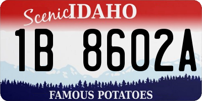 ID license plate 1B8602A