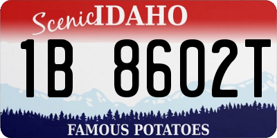 ID license plate 1B8602T
