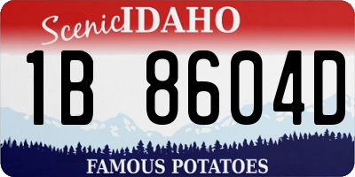 ID license plate 1B8604D