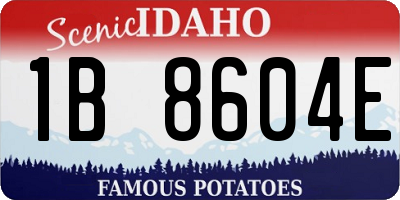 ID license plate 1B8604E