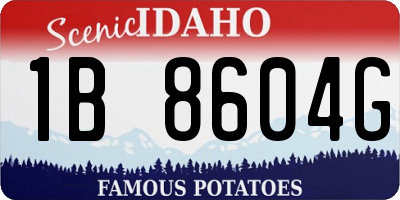 ID license plate 1B8604G