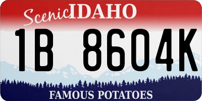 ID license plate 1B8604K