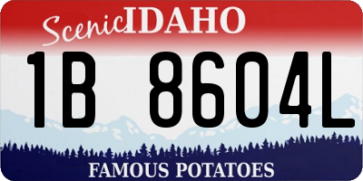 ID license plate 1B8604L