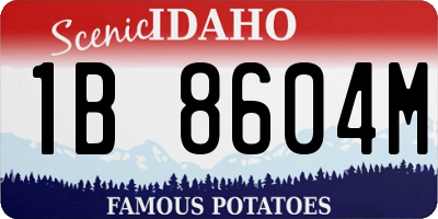 ID license plate 1B8604M