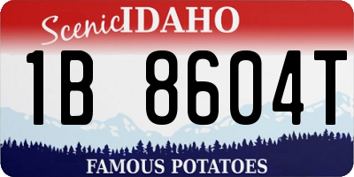 ID license plate 1B8604T