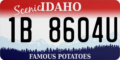 ID license plate 1B8604U
