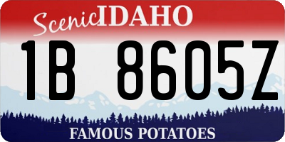 ID license plate 1B8605Z