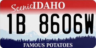 ID license plate 1B8606W