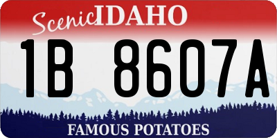 ID license plate 1B8607A