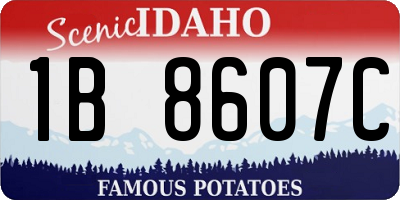 ID license plate 1B8607C