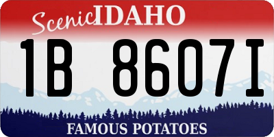 ID license plate 1B8607I