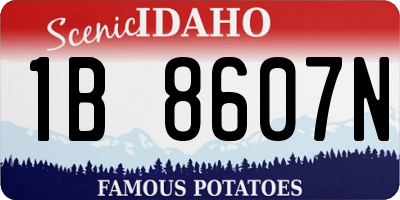ID license plate 1B8607N