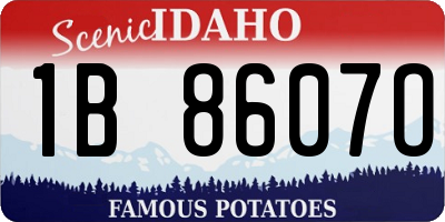 ID license plate 1B8607O