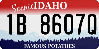 ID license plate 1B8607Q