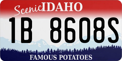 ID license plate 1B8608S