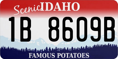 ID license plate 1B8609B