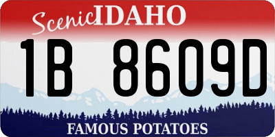 ID license plate 1B8609D