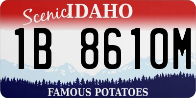 ID license plate 1B8610M