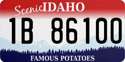 ID license plate 1B8610O