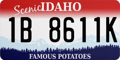 ID license plate 1B8611K
