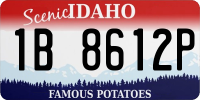 ID license plate 1B8612P
