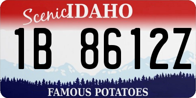 ID license plate 1B8612Z