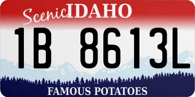 ID license plate 1B8613L