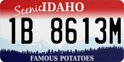 ID license plate 1B8613M