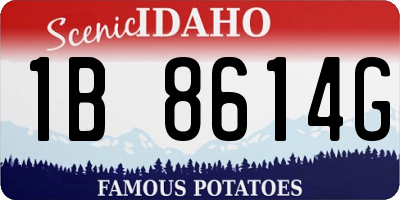 ID license plate 1B8614G