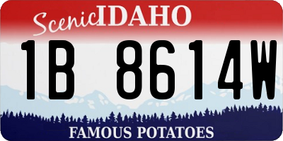ID license plate 1B8614W