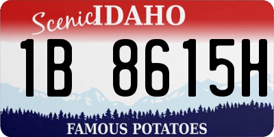 ID license plate 1B8615H